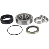 WHEEL BEARING KIT QUANTUM REAR